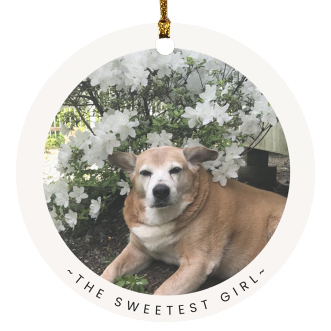 The Sweetest Girl Custom Pet Ornament Dog Cat